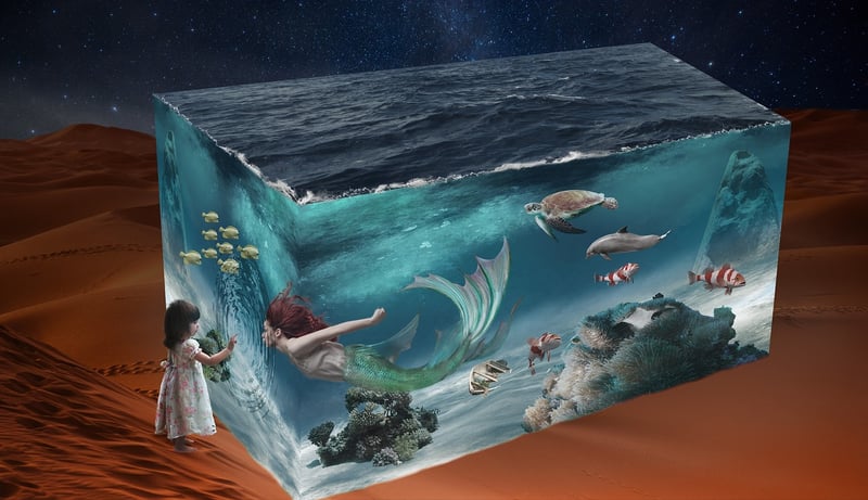 Underwater Discovery